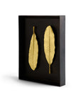 Michael Aram Champa Leaf Shadow Box