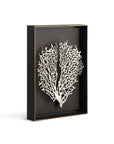 Michael Aram Fan Coral Shadow Box