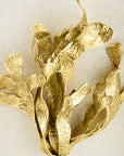 Michael Aram Kelp Fabric Shadow Box