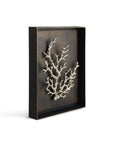 Michael Aram Ocean Coral Shadow Box