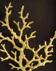 Michael Aram Ocean Coral Shadow Box