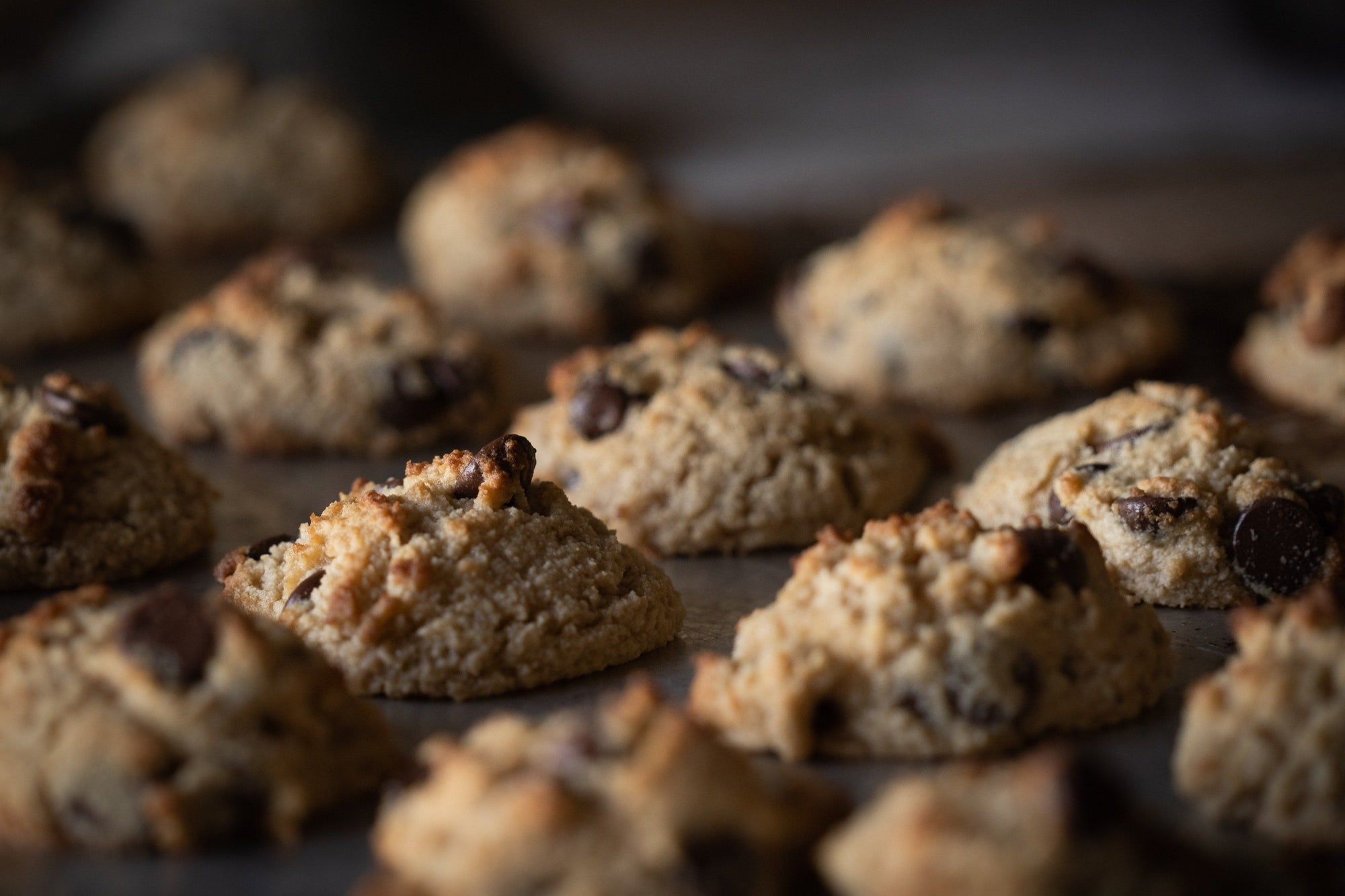 Pumpkin Chocolate Chip Cookies - Michael Aram