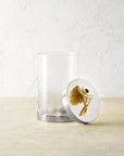 Michael Aram Anemone Canisters