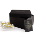 Michael Aram Butterfly Ginkgo Gold Decorative Object