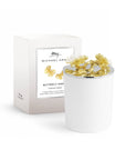 Michael Aram Butterfly Ginkgo Gold Scented Candle, 8 oz.