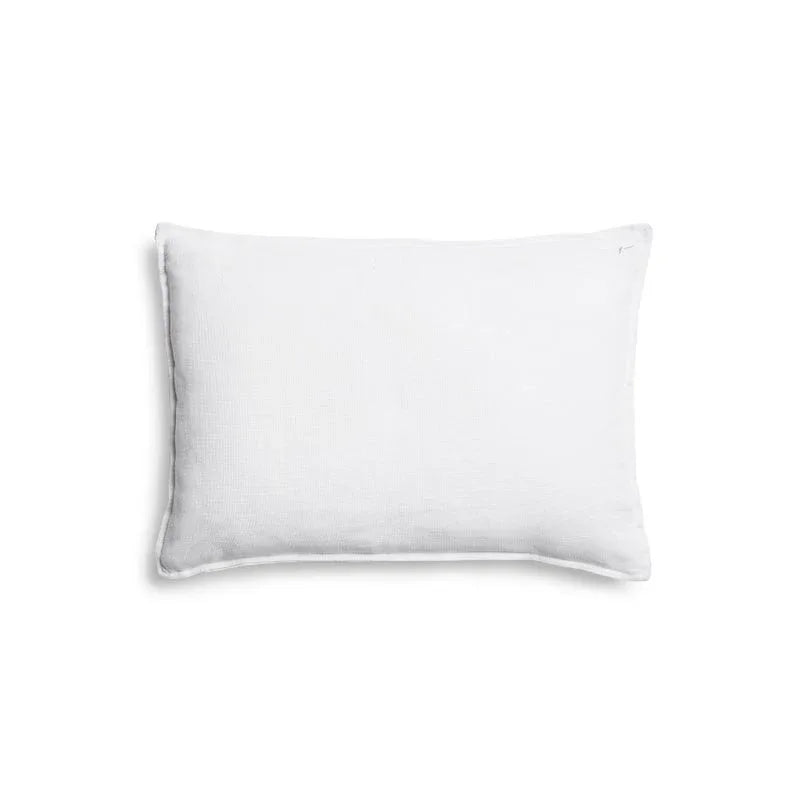 Michael Aram Butterfly Ginkgo Ombre Embroidered Dec Pillow Sky and Crème