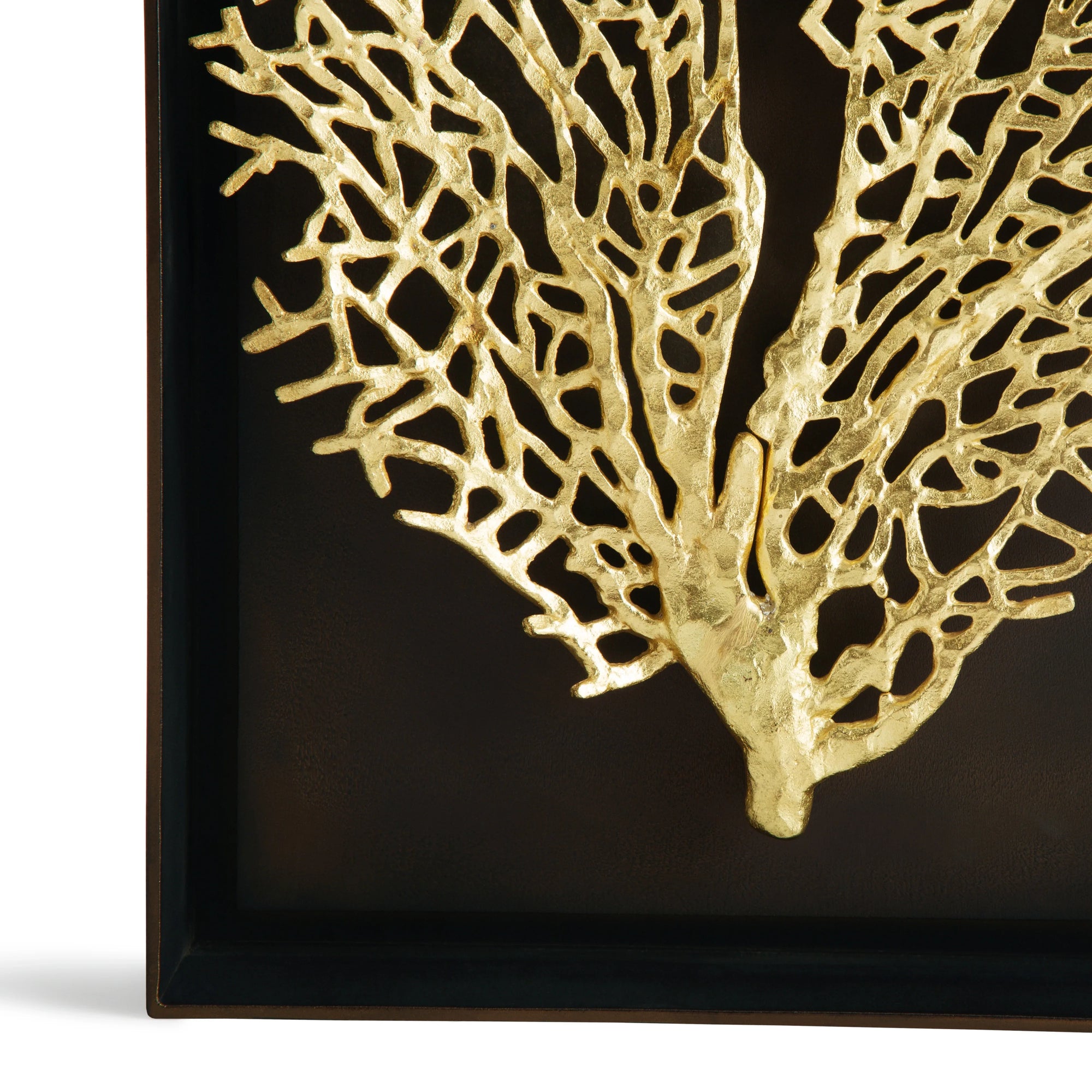 Michael Aram Fan Coral Shadow Box