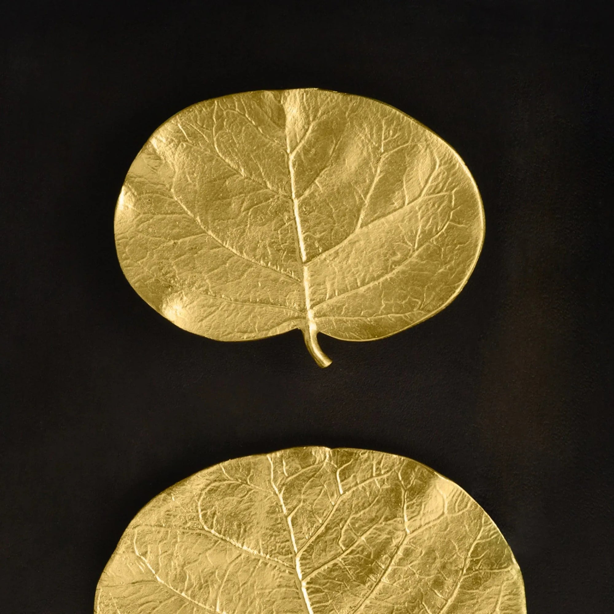 Michael Aram Botanical Leaf Shadow Box