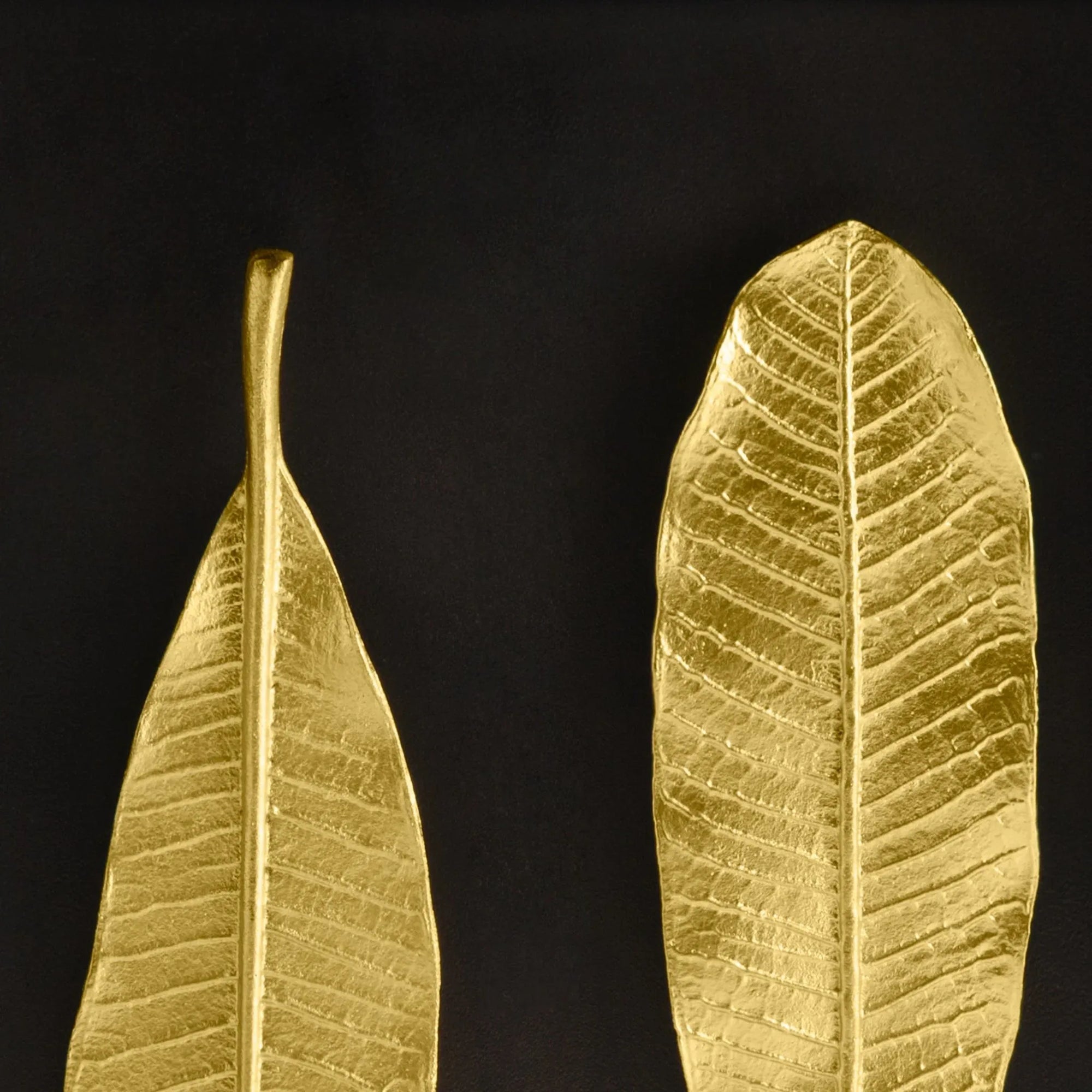 Michael Aram Champa Leaf Shadow Box