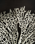 Michael Aram Fan Coral Shadow Box