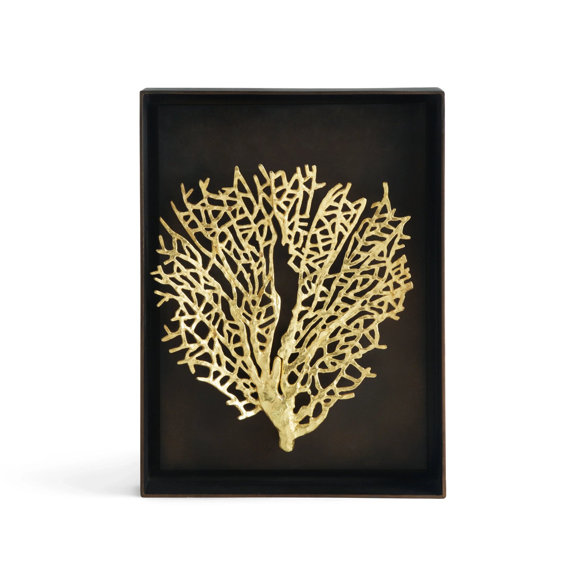 Michael Aram Fan Coral Shadow Box