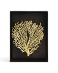Michael Aram Fan Coral Shadow Box