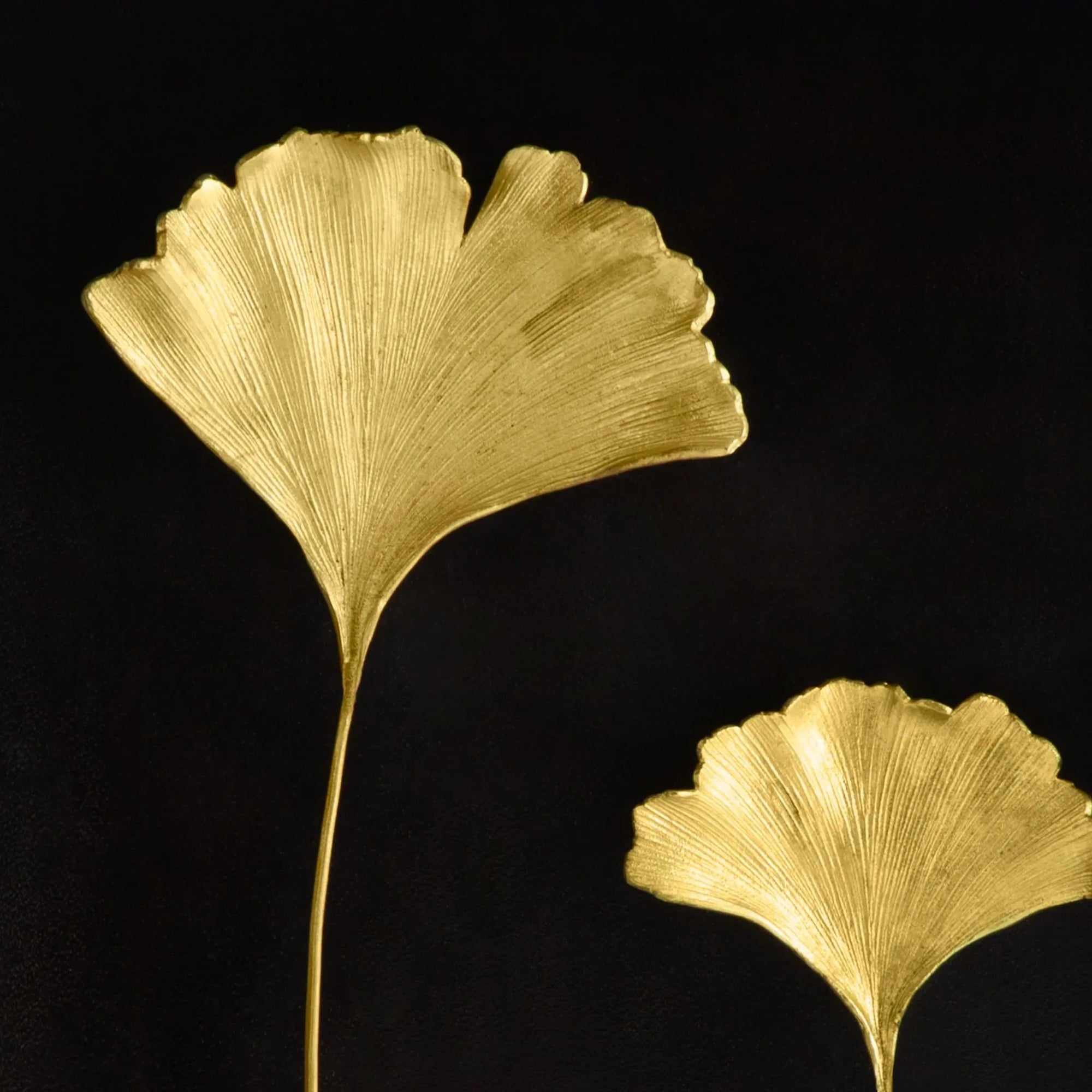 Michael Aram Ginkgo Leaf Shadow Box