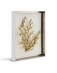 Michael Aram Ocean Coral Fabric Shadow Box