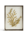 Michael Aram Ocean Coral Fabric Shadow Box