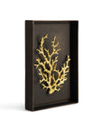Michael Aram Ocean Coral Shadow Box