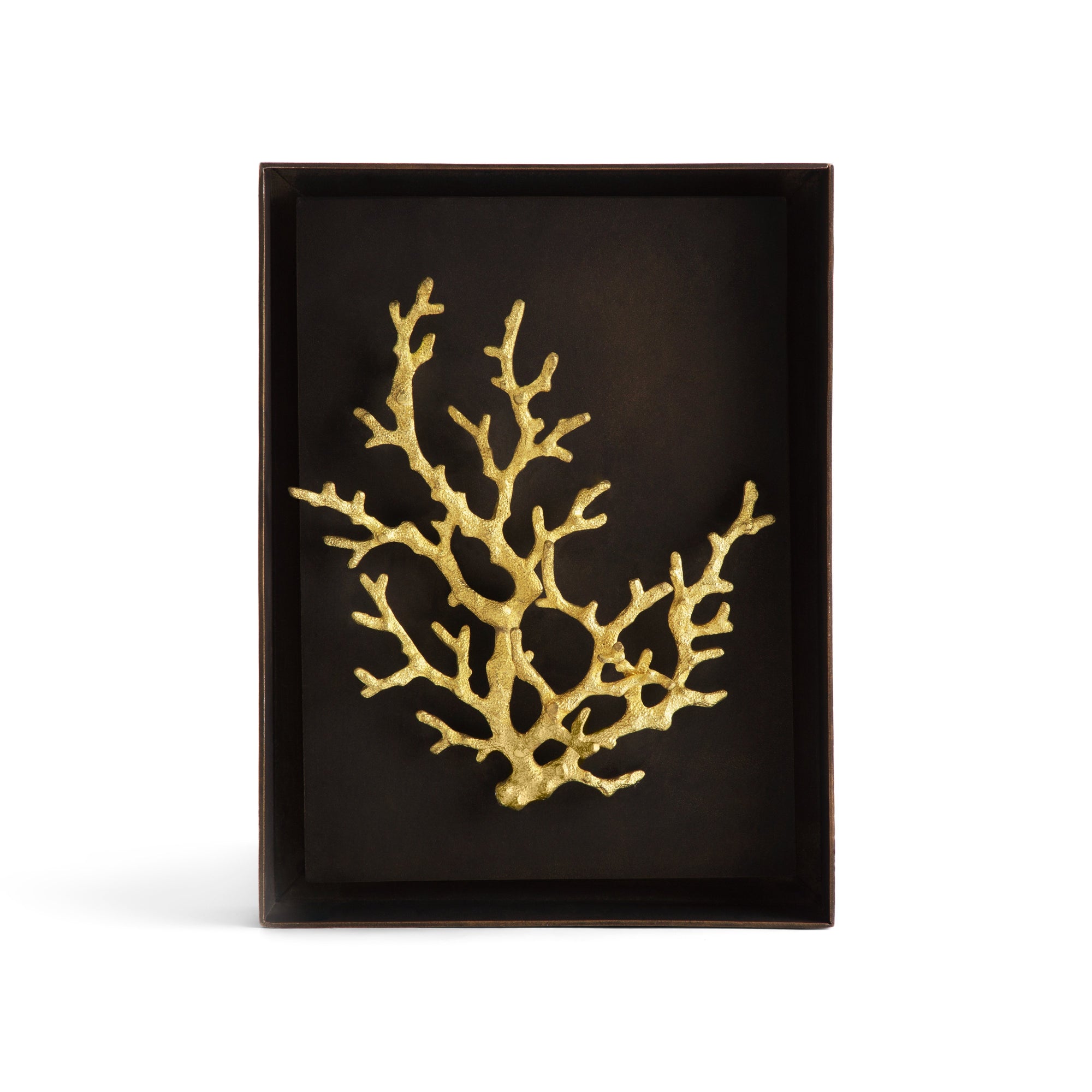 Michael Aram Ocean Coral Shadow Box