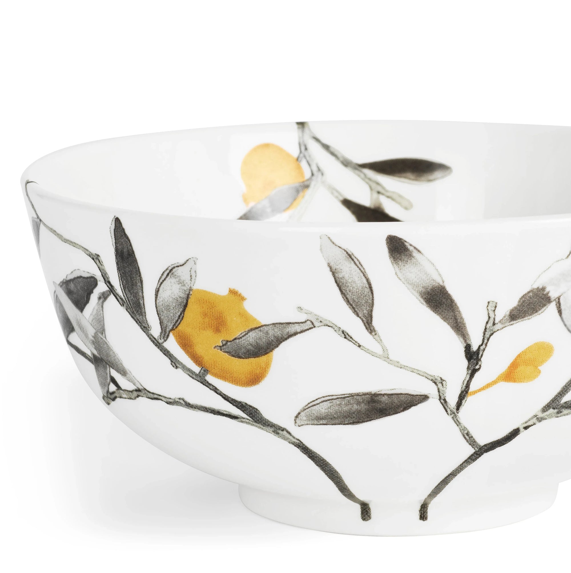 Michael Aram Pomegranate Dinnerware